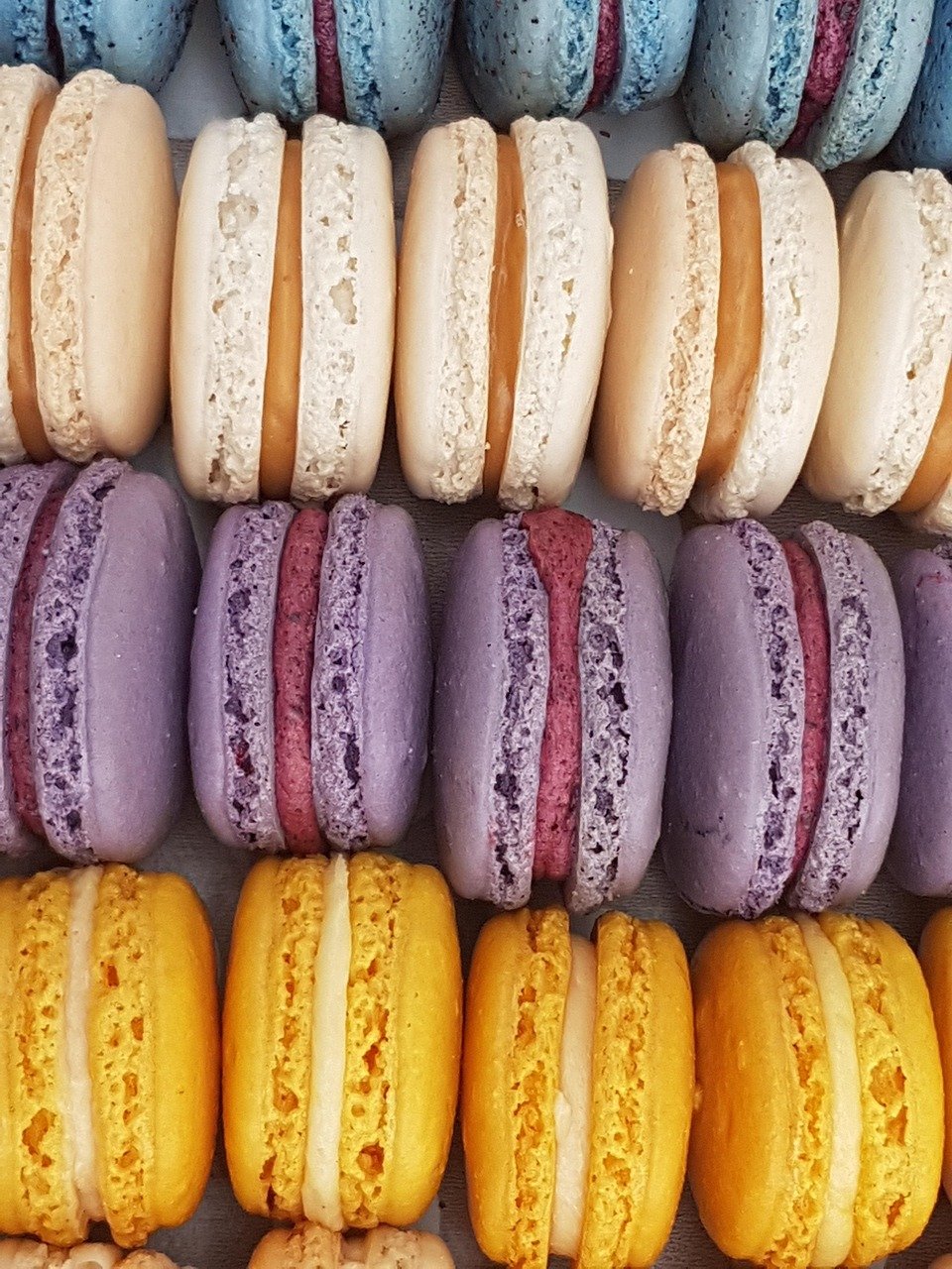 macaroons, cakes, food, confection, pastry, colorful, almonds, dessert, bakery, gourmet, macaroons, bakery, bakery, bakery, bakery, bakery